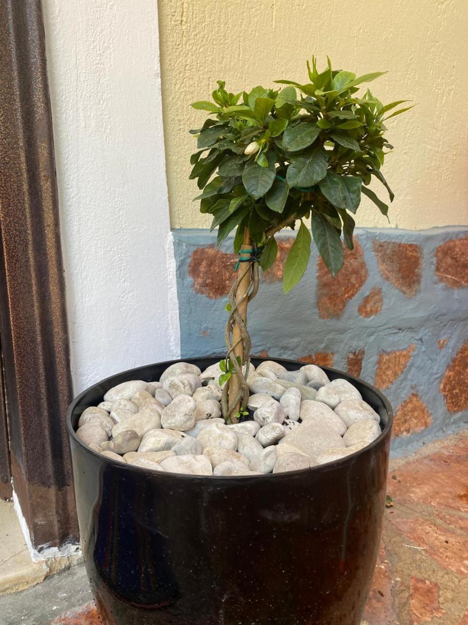 Olive Tree Apartment Sarande Bagian luar foto