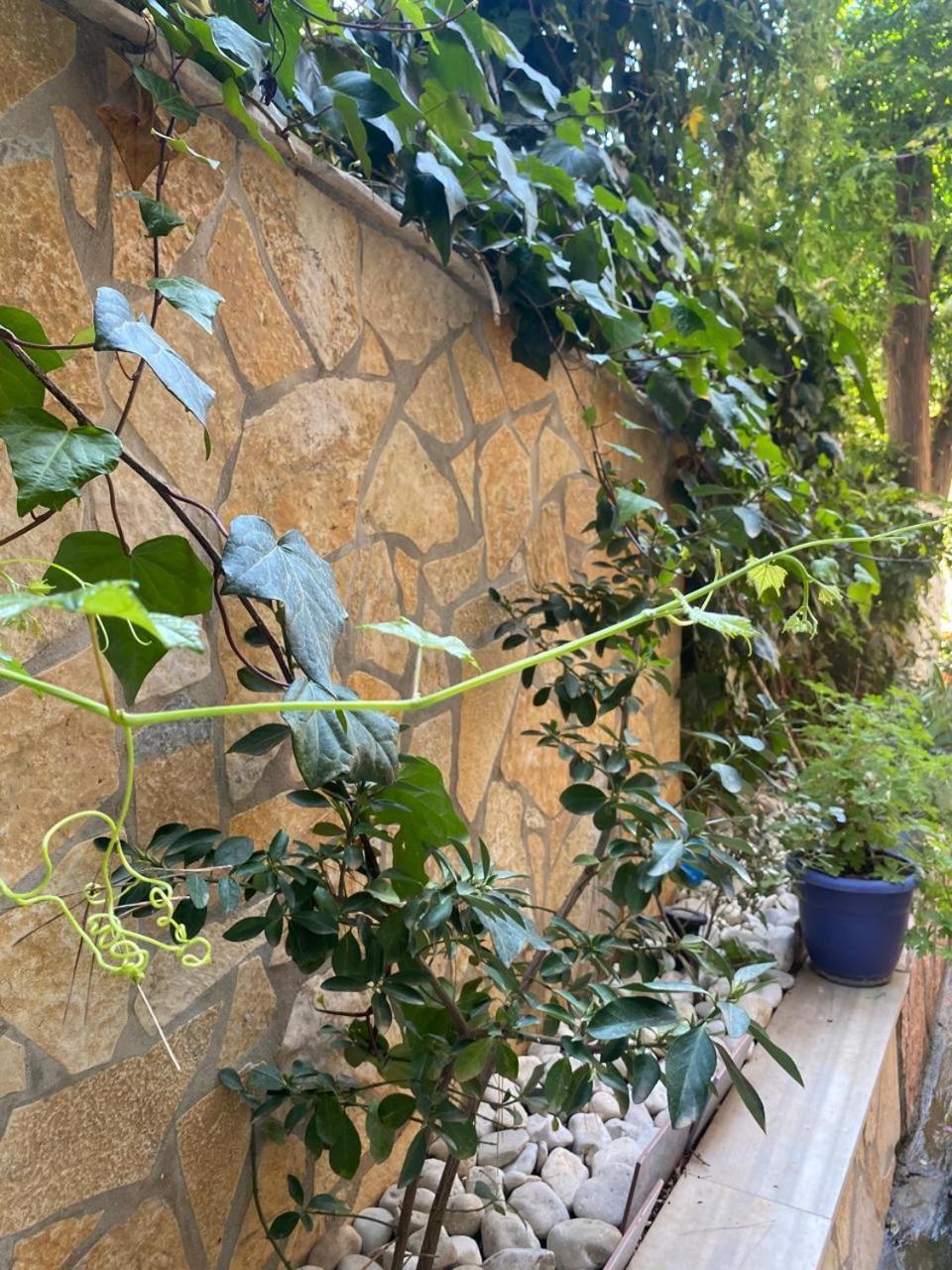 Olive Tree Apartment Sarande Bagian luar foto
