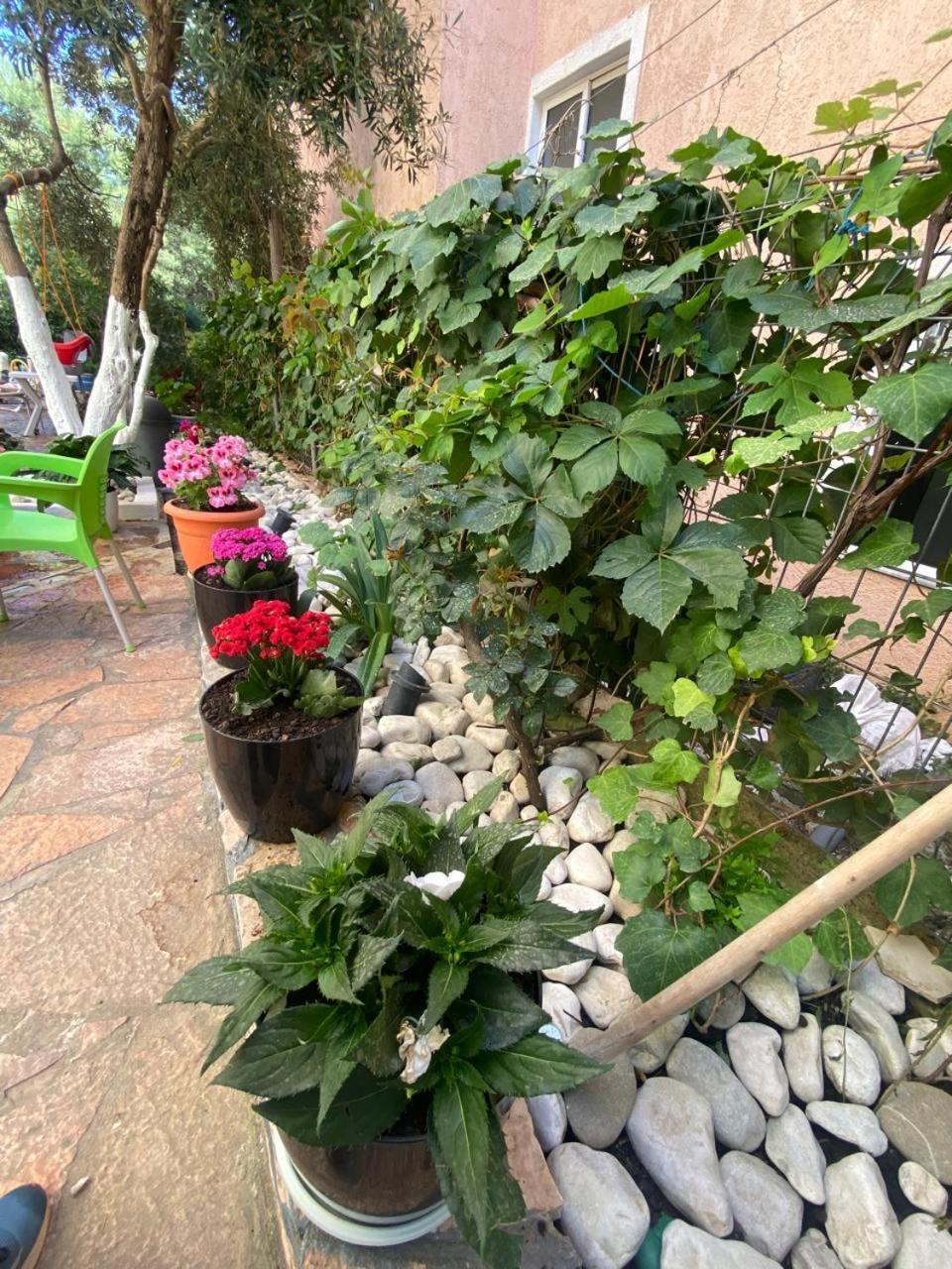 Olive Tree Apartment Sarande Bagian luar foto
